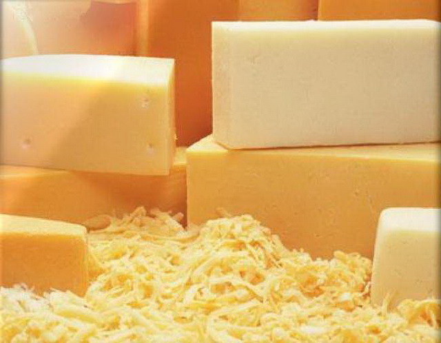 Бизнес-план по производству сыра