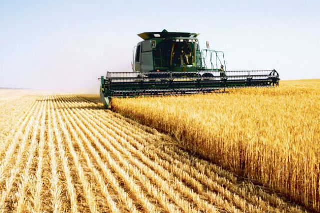 Бизнес-план выращивания зерновых культур